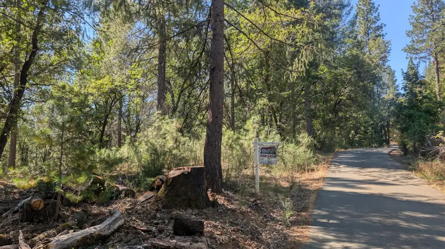 0 S Manzanita Hills Road, Colfax, CA 95713 - #3