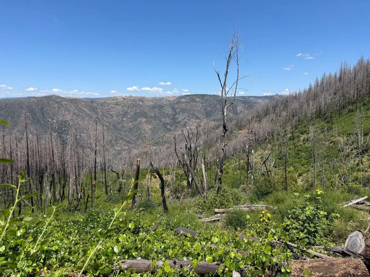 0 Rubicon Road, Georgetown, CA 95634 - #1