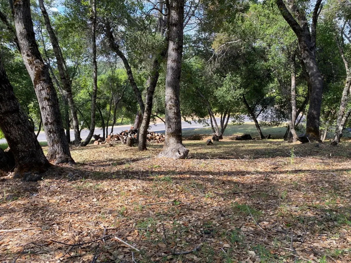 315 Mill Court, Angels Camp, CA 95222 - #1