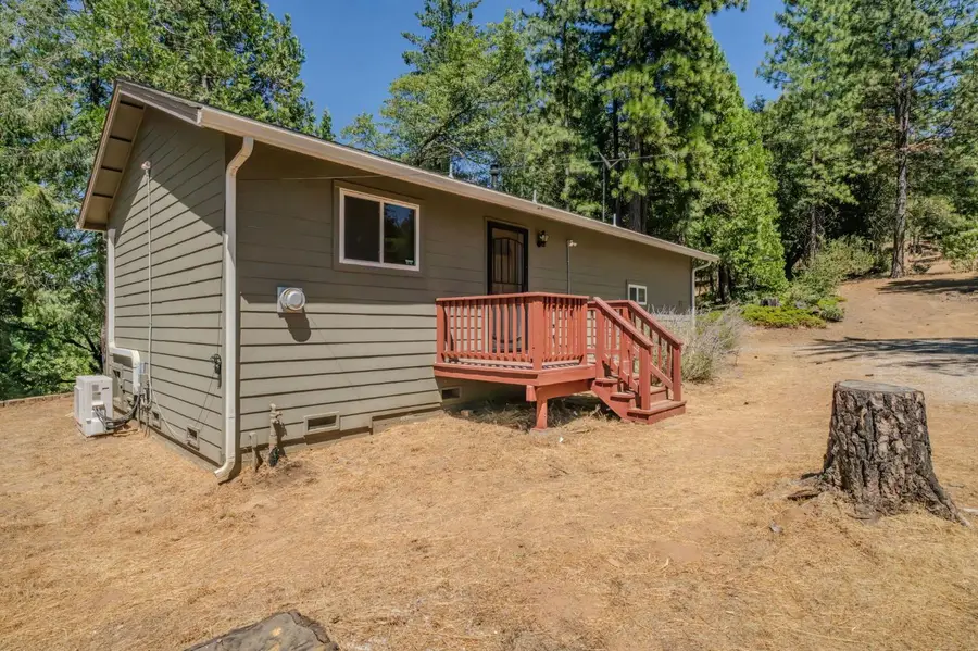 19130 Ponderosa Way, Volcano, CA 95689 - #3