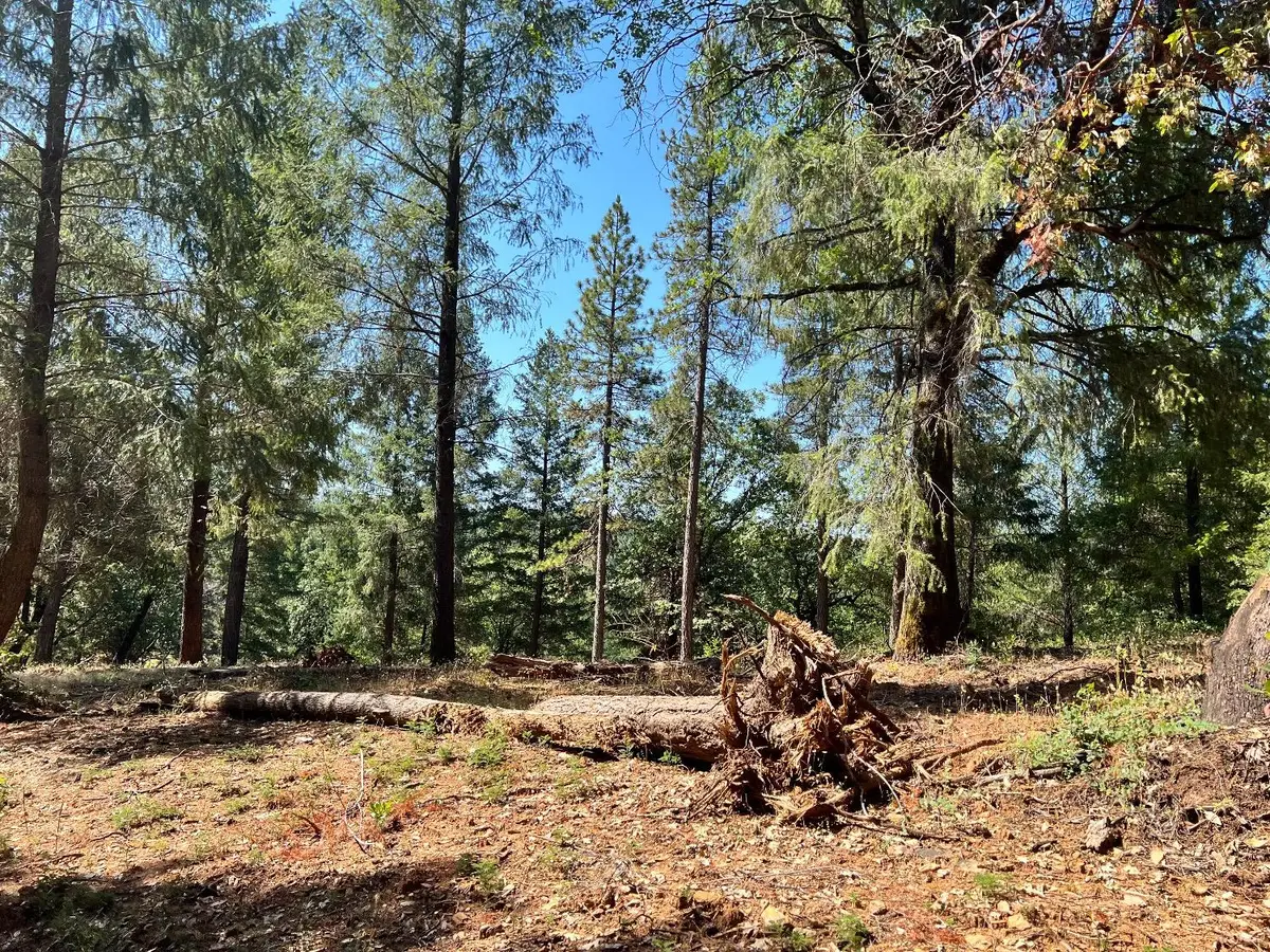 43 Bottle Hill Road, Georgetown, CA 95634 - #1
