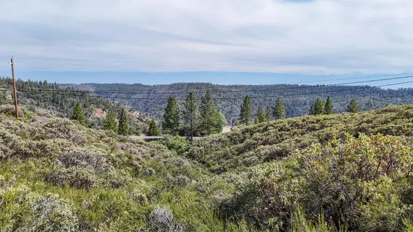 8131 Grizzly Flat Road, Somerset, CA 95684
