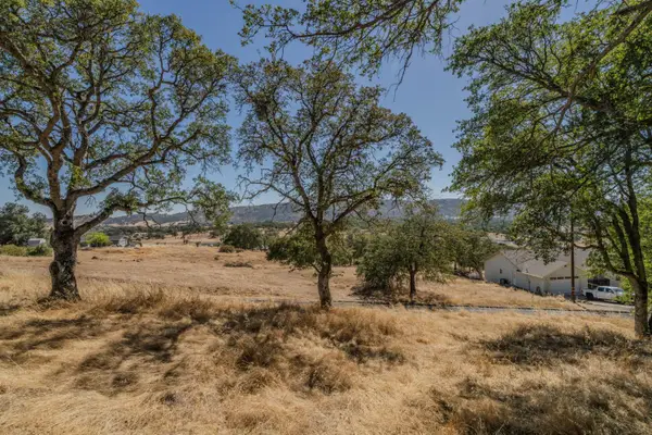 2205 Arrowhead Street, Copperopolis, CA 95228