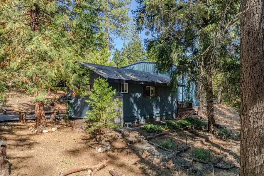27352 Chaparral Drive, Pioneer, CA 95666 - #2