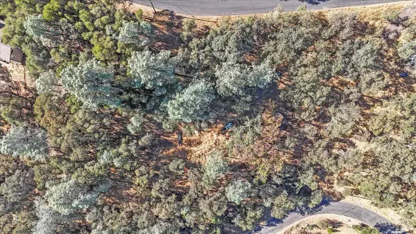 7000 Olympus Drive, Garden Valley, CA 95633