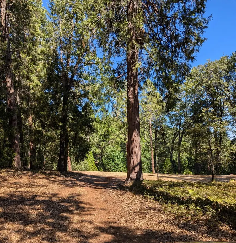 13625 Pegasus Place, Nevada City, CA 95959 - #3