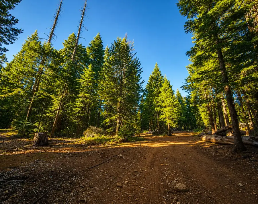 30196 Buckthorn Lane, Nevada City, CA 95959 - #3
