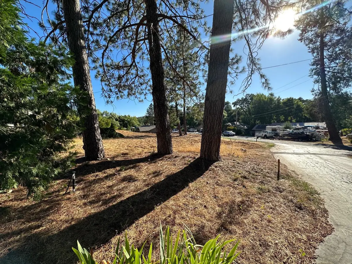 1 Watkins Street, Murphys, CA 95247 - #1