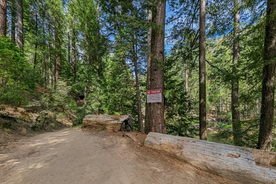 4 34 Milestone Tr, Kyburz, CA 95720 - #2