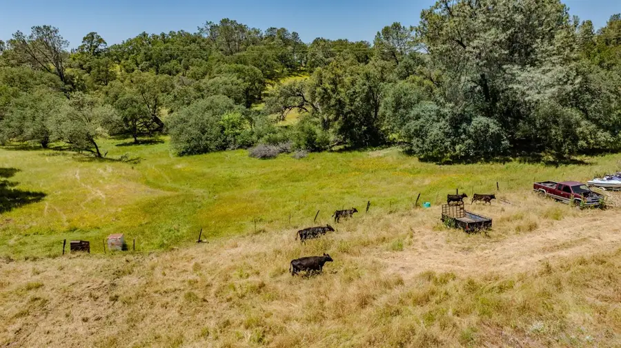10371 Highway 124, Ione, CA 95640 - #3