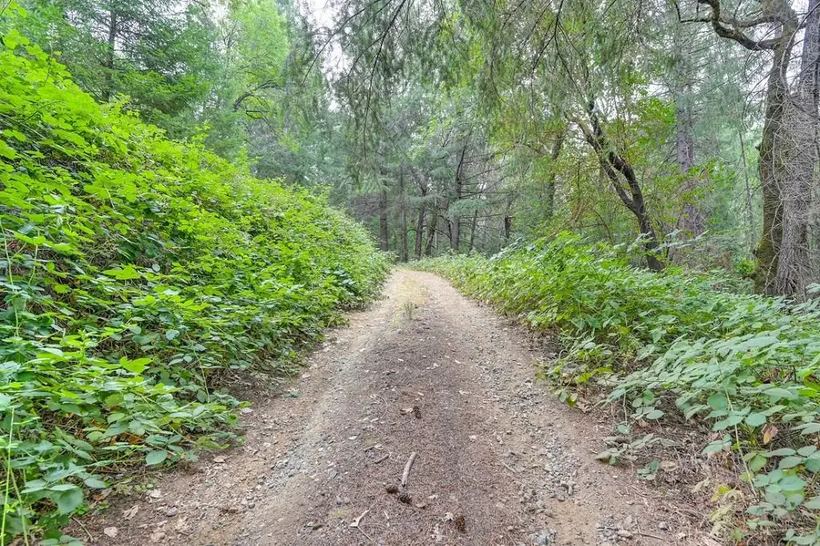 3701 Marshall Road, Garden Valley, CA 95633 - #2