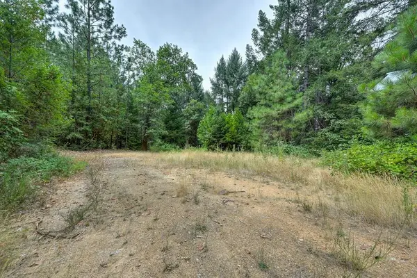0 Marshall Rd, Georgetown, CA 95634