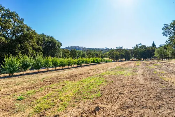 6800 Potts Trail, Browns Valley, CA 95918