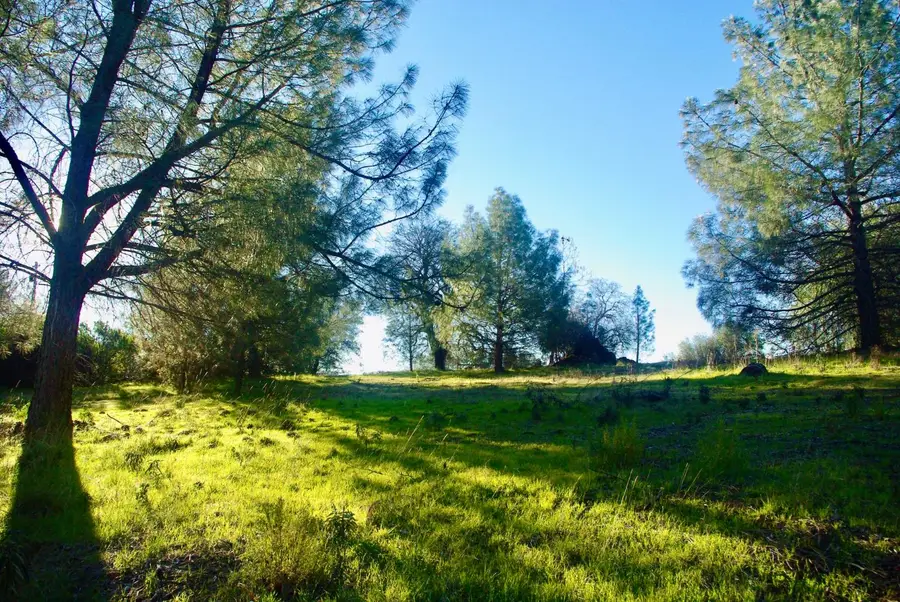 14331 Beitler Road, Nevada City, CA 95959 - #3