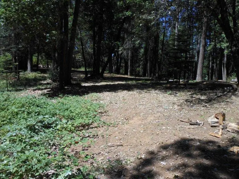 11004 Sutter Way, Nevada City, CA 95959 - #1