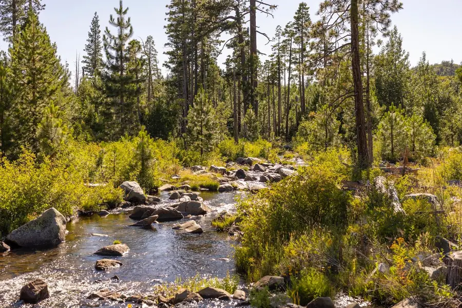 665 N Fork Place, Emigrant Gap, CA 95715 - #2