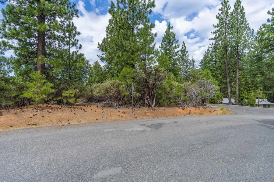 26025 Ridge Drive, Pioneer, CA 95666 - #3