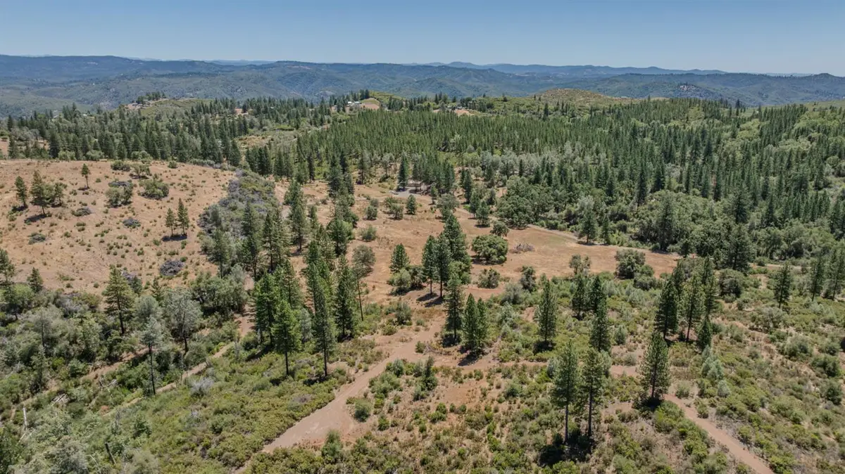 7559 Alamo Road, Mountain Ranch, CA 95246 - #1