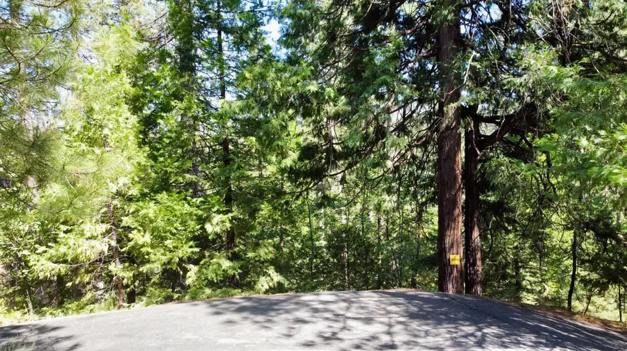 1647 Gertrude Way, Arnold, CA 95223 - #3