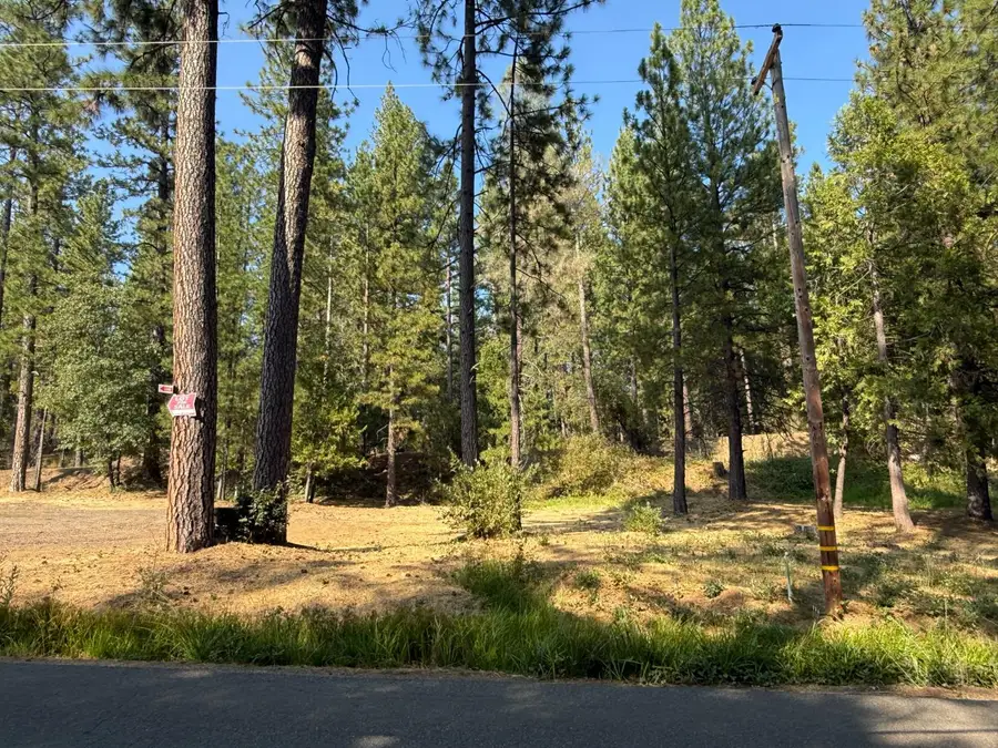 16970 Old Downieville Highway, Nevada City, CA 95959 - #2