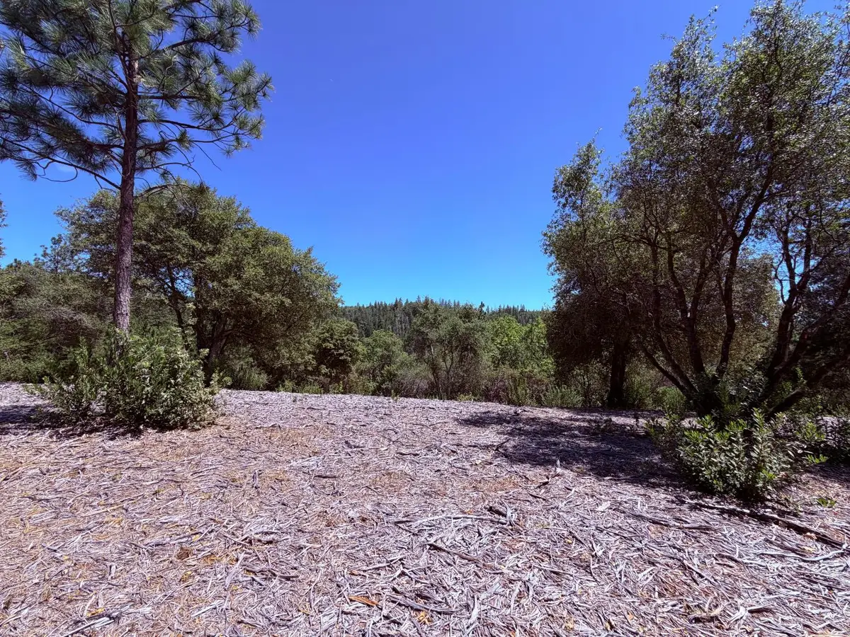 10 Big Oak Court, Placerville, CA 95667 - #1