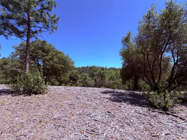 10 Big Oak Court, Placerville, CA 95667