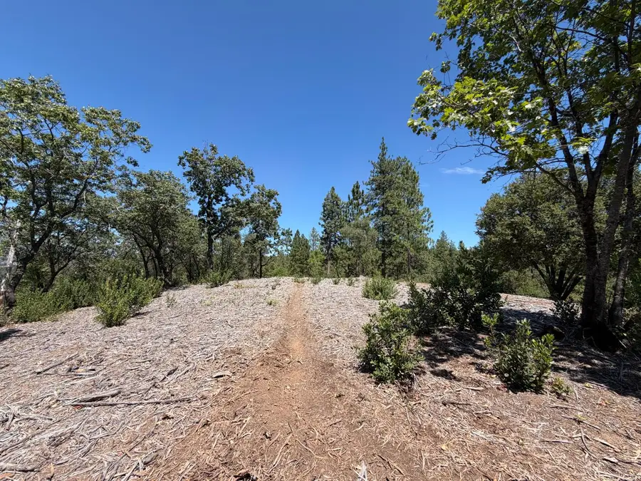10 Big Oak Court, Placerville, CA 95667 - #2