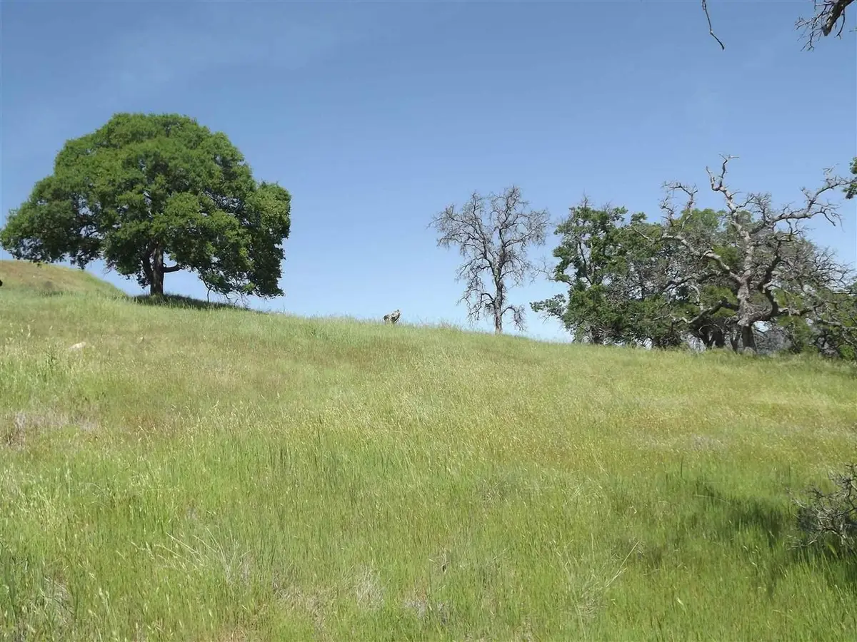 5439 Arbolada, La Grange, CA 95329 - #1