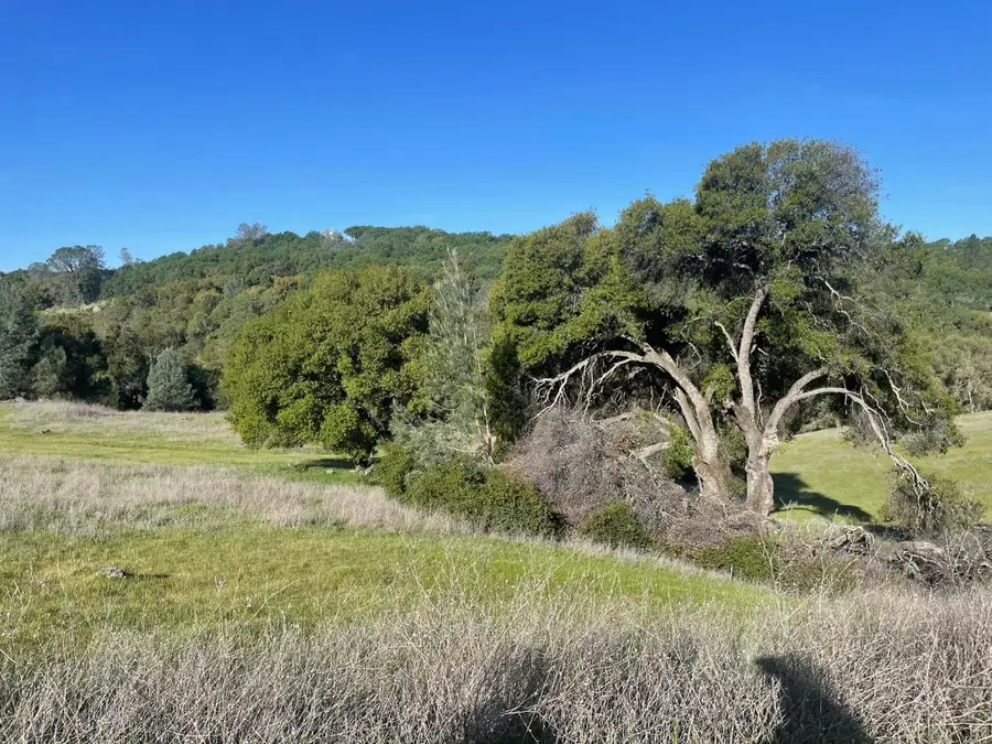 3404 Safari Trail, Pilot Hill, CA 95664 - #2