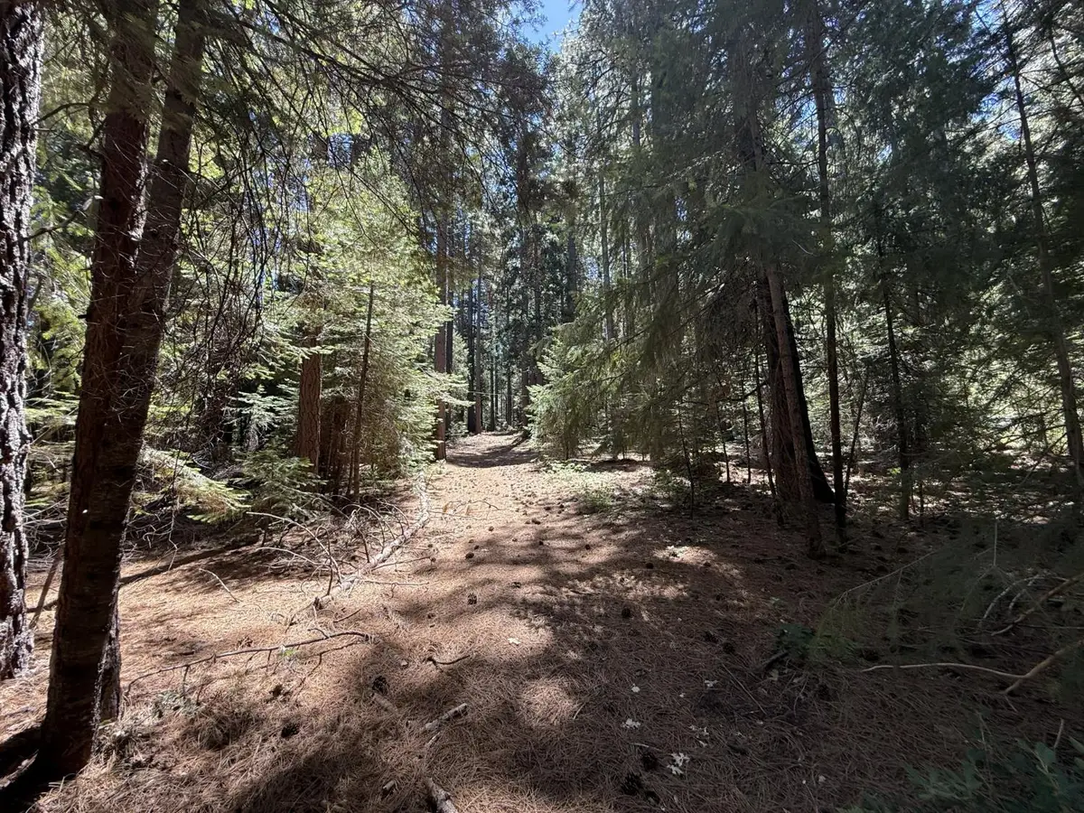 11250 Washington Road, Nevada City, CA 95959 - #1