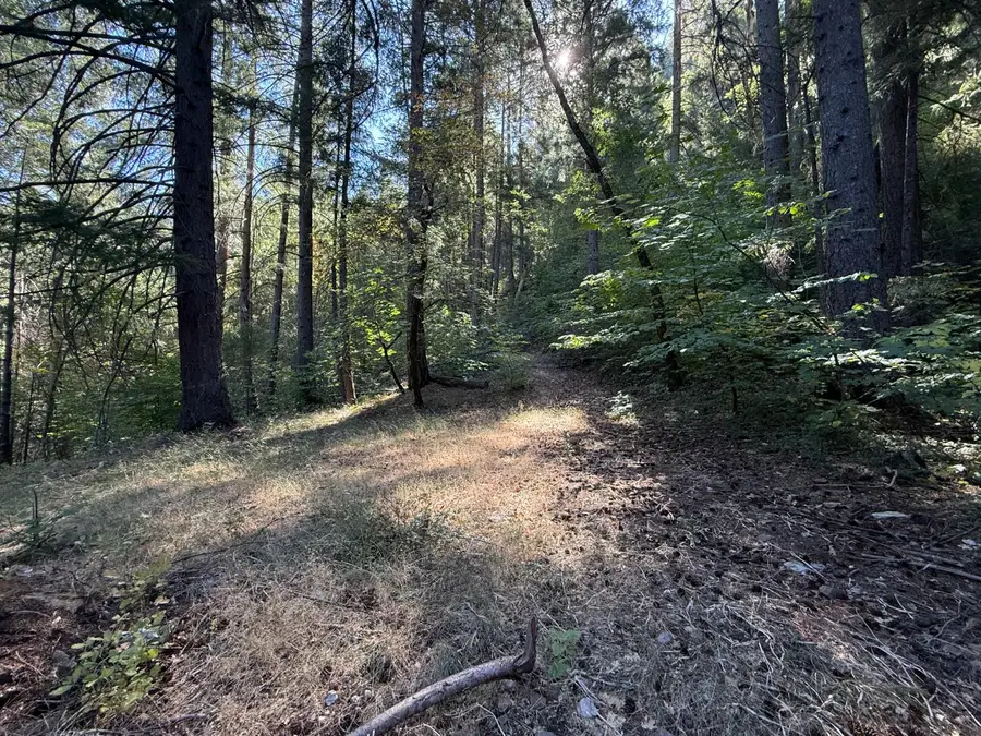 0 Blue Canyon Road, Emigrant Gap, CA 95715 - #2