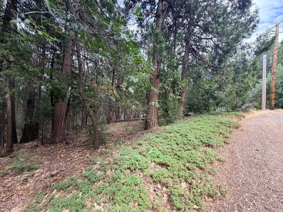 5 Debron Court, Pollock Pines, CA 95726 - #1