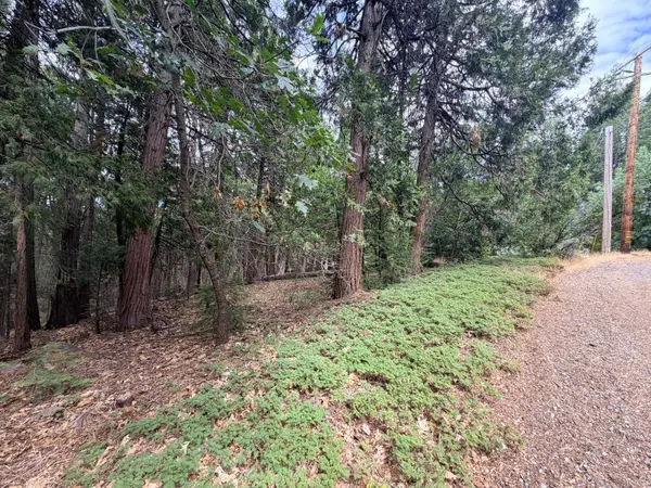5 Debron Court, Pollock Pines, CA 95726