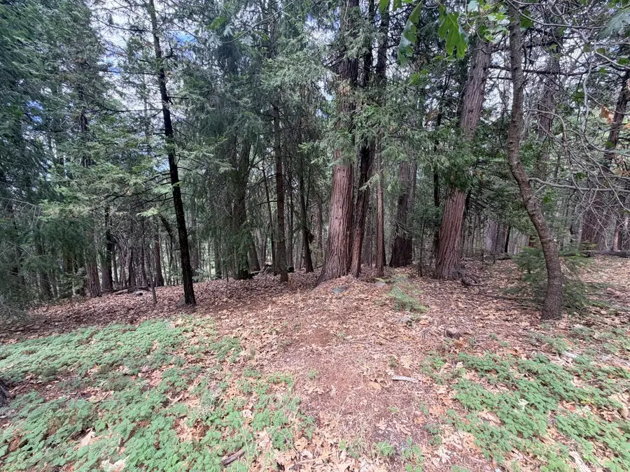 5 Debron Court, Pollock Pines, CA 95726 - #2