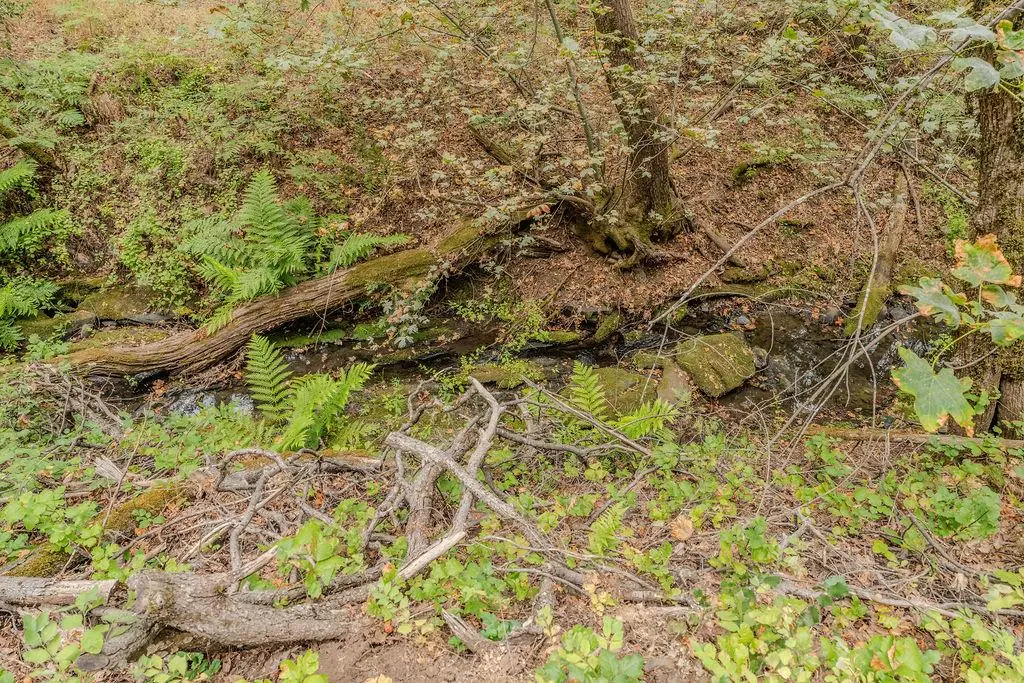 18101 Old River Road, Fiddletown, CA 95629 - #1