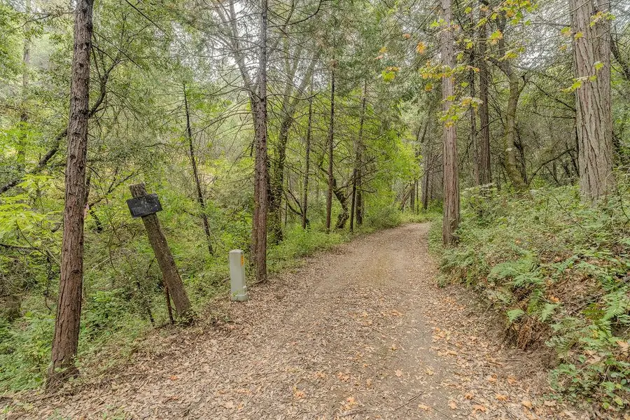 18101 Old River Road, Fiddletown, CA 95629 - #3