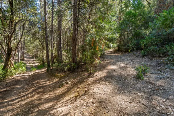 0 ., Placerville, CA 95667