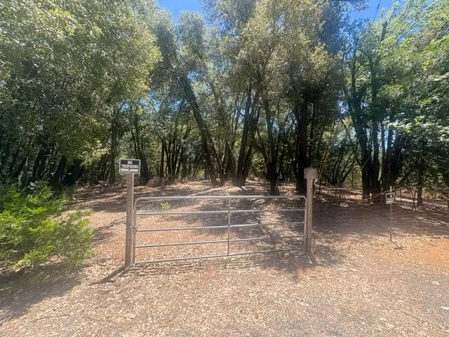 0 Middle Camp, Twain Harte, CA 95383 - #1