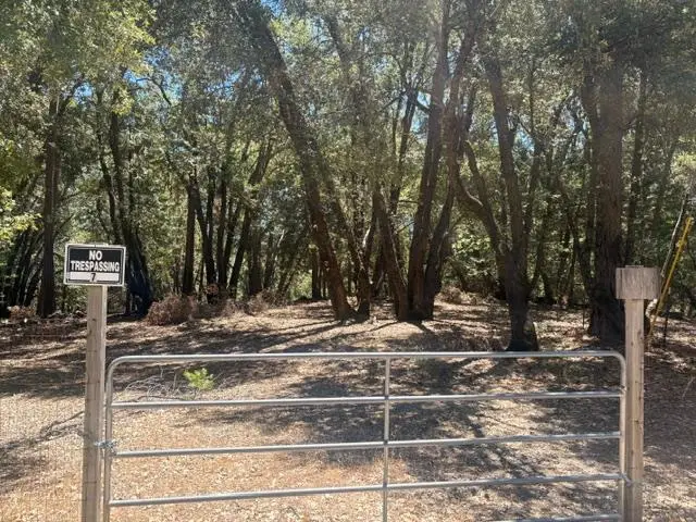 0 Middle Camp, Twain Harte, CA 95383 - #2