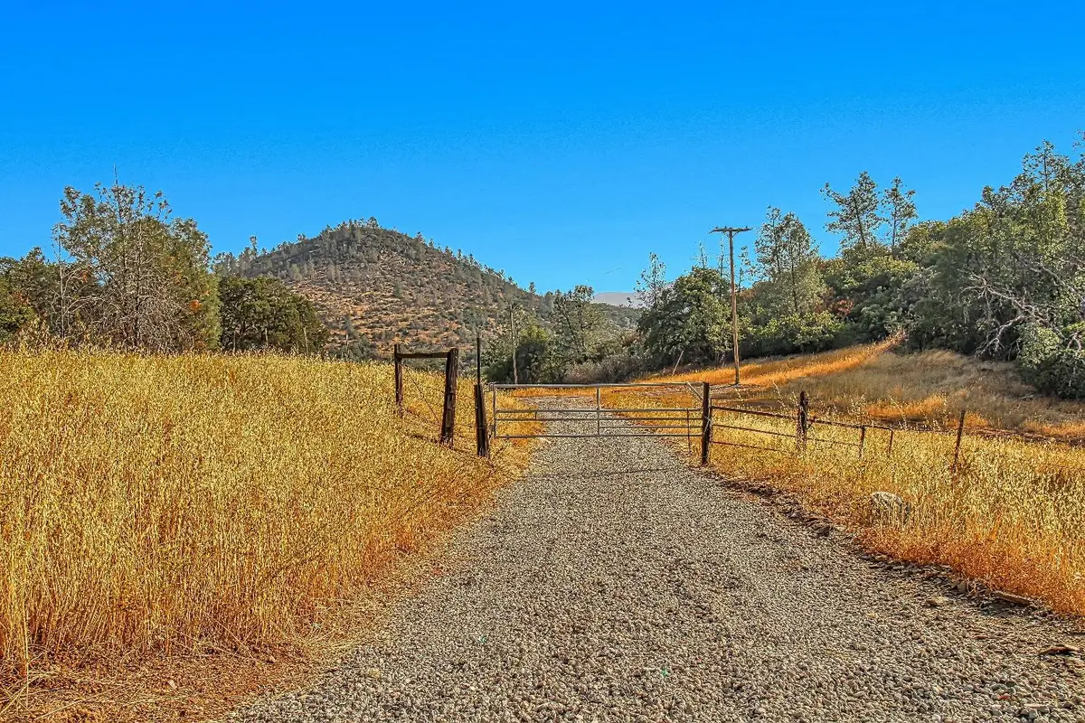 9955 Highway 49, Coulterville, CA 95311 - #1
