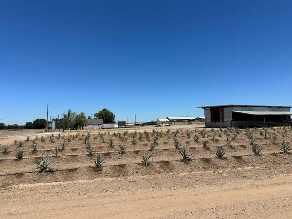 15942 N Jack Tone Road, Lodi, CA 95240