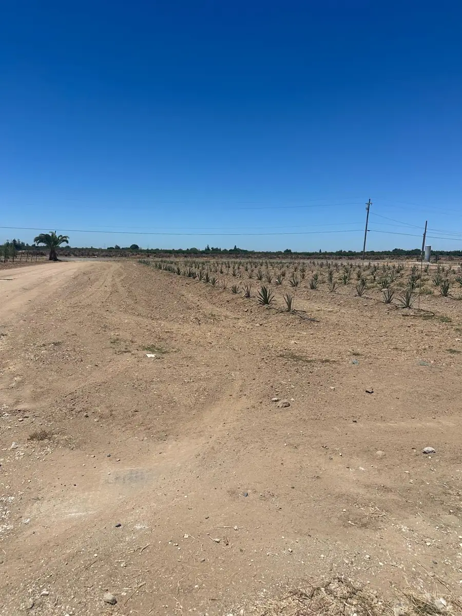 19542 N Jack Tone Road, Lodi, CA 95240 - #2