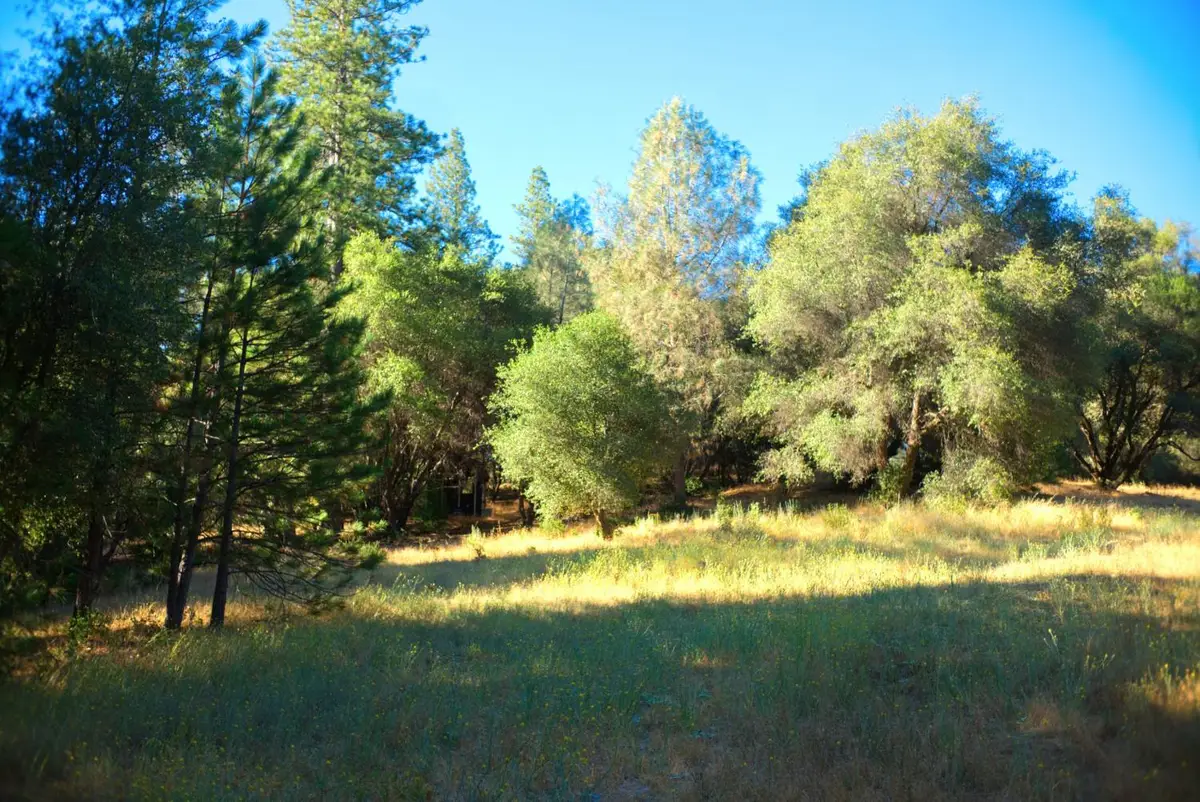 7771 Boondock Trail, Somerset, CA 95684 - #1