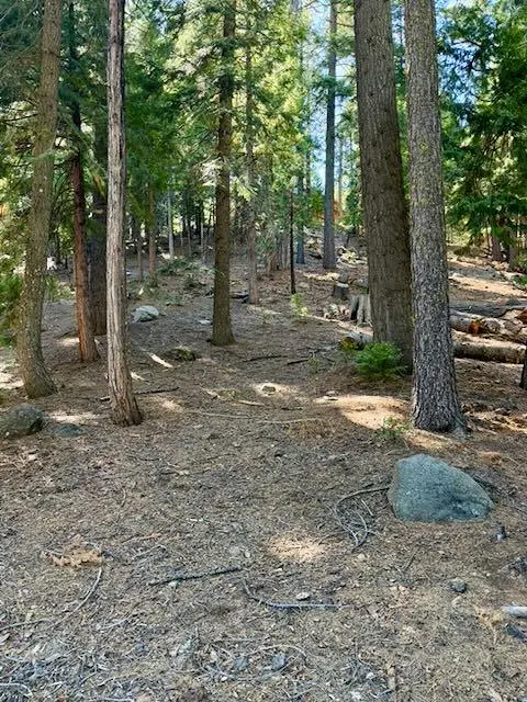 1534 Sierra Parkway, Dorrington, CA 95223