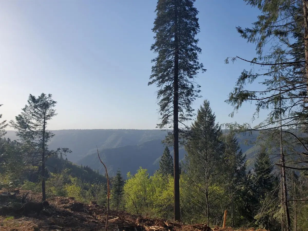 4104 Volcanoville Road, Georgetown, CA 95634 - #1