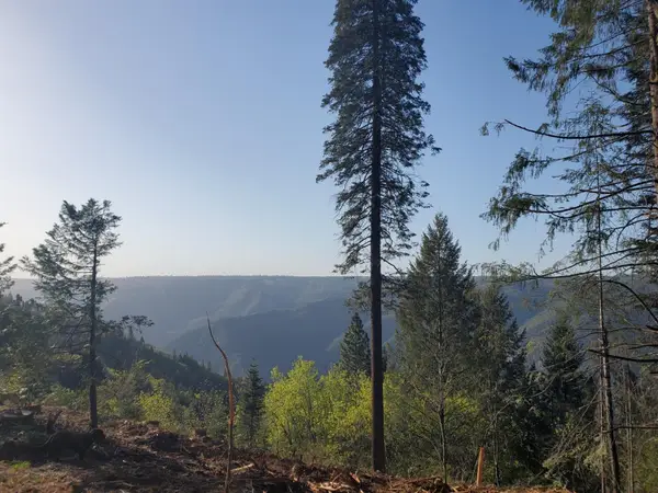 4104 Volcanoville Road, Georgetown, CA 95634