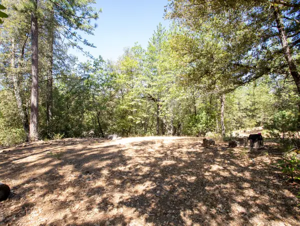 21285 Cottonwood Lane, Pine Grove, CA 95665