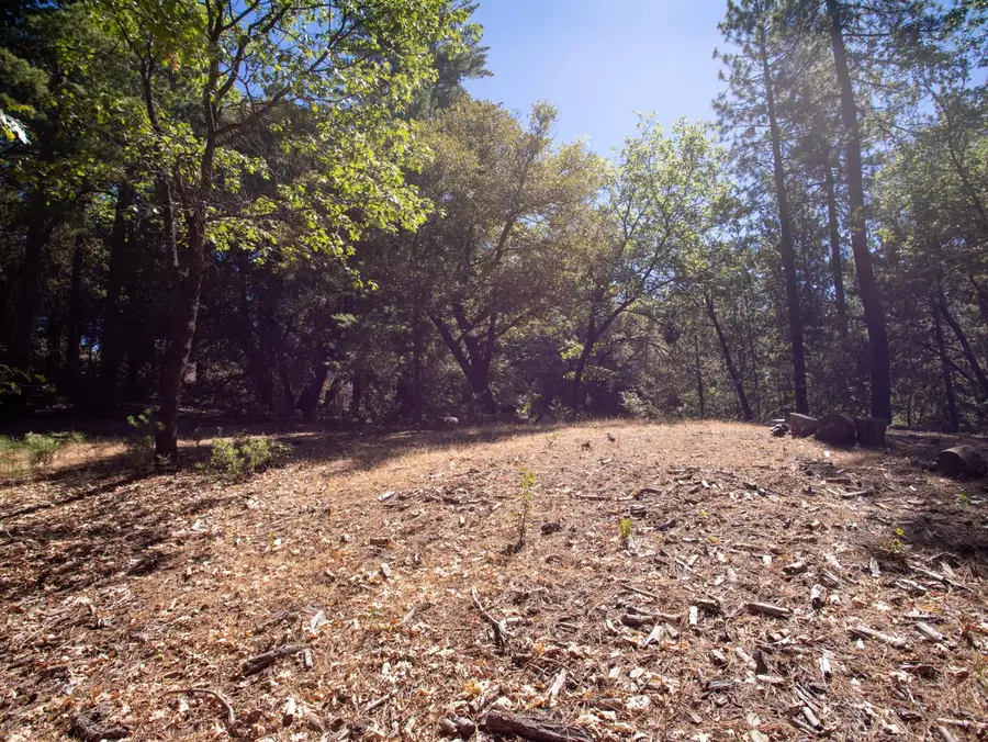 21285 Cottonwood Lane, Pine Grove, CA 95665 - #2