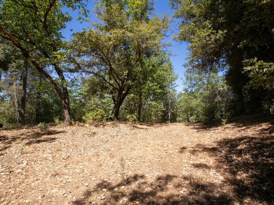 21285 Cottonwood Lane, Pine Grove, CA 95665 - #3