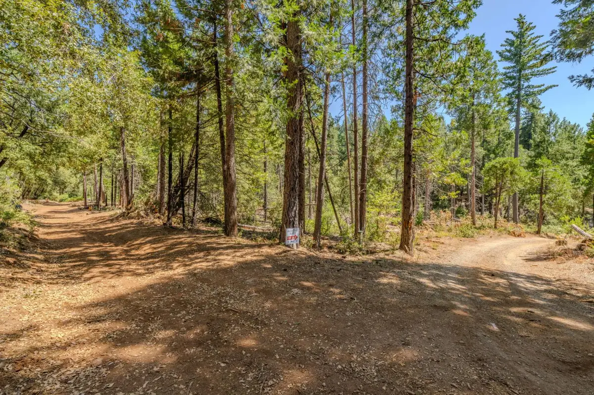 0 Gold Creek Trail, Volcano, CA 95689 - #1